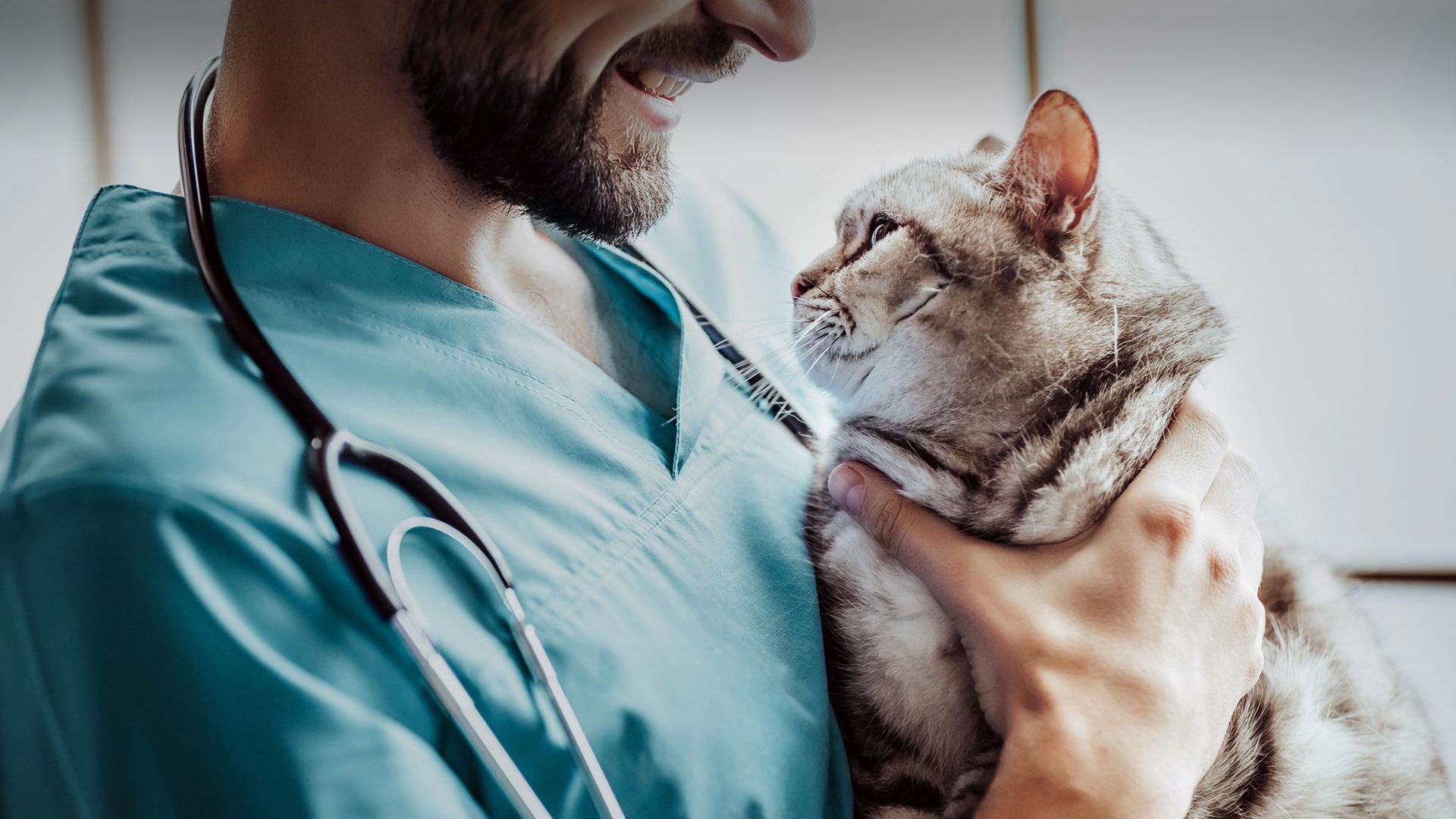 Ayrancılar Veteriner